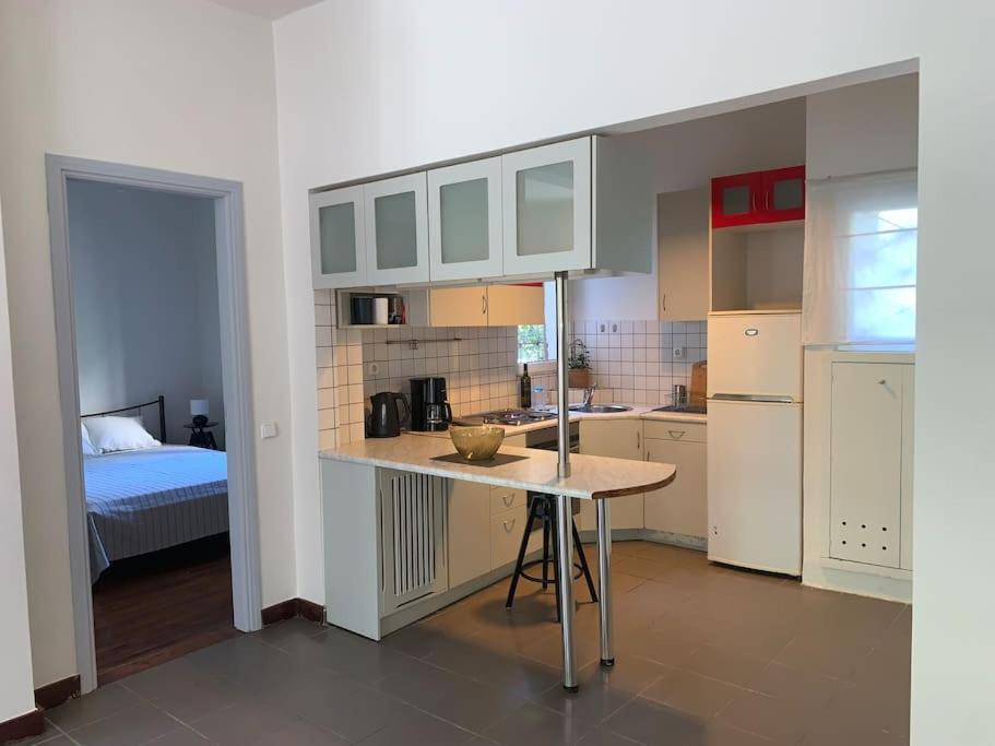 Acropolis Apartment アテネ エクステリア 写真